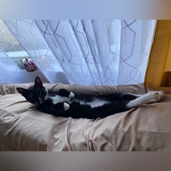 Meet your Posher, Mary - Picture 12 of 16